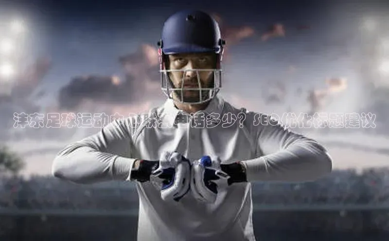 极悦登录壹网壹创沣东足球运动中心联系电话多少？SEO优化标题建议