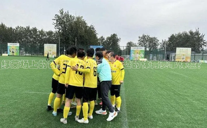 极悦登录百度智能云绿茵场上的创新：如何打造卓越的体育赛事体验？