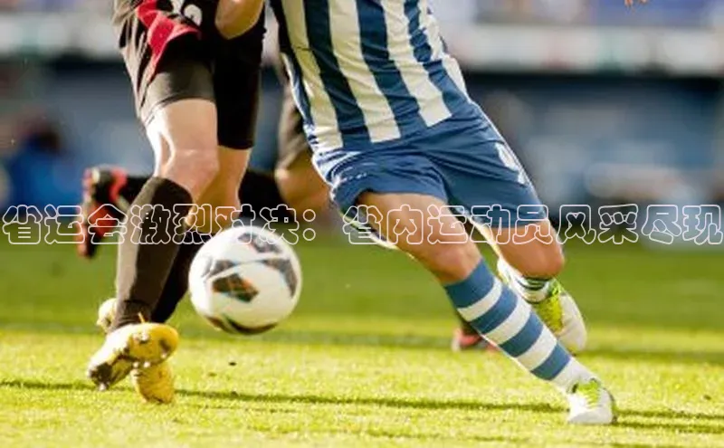 省运会激烈对决：省内运动员风采尽现