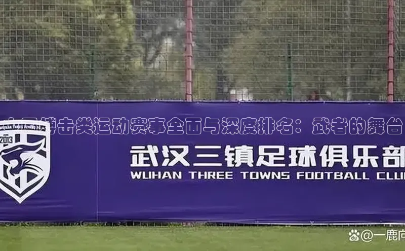 中国搏击类运动赛事全面与深度排名：武者的舞台