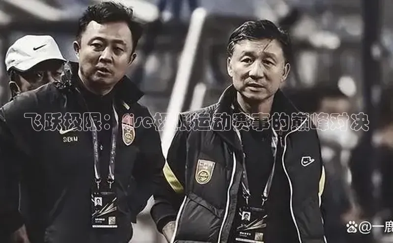 飞跃极限：fise极限运动赛事的巅峰对决