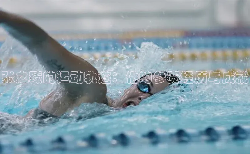 张之臻的运动轨迹：他的参赛经历与成就